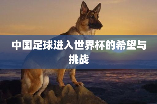 中国足眉山市正发家政服务有限公司球进入世界杯的希望与挑战