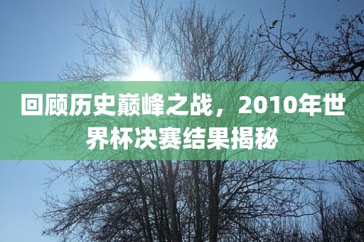 回顾历史巅峰之战，2010年世界杯决赛结果揭秘眉山市正发家政服务有限公司