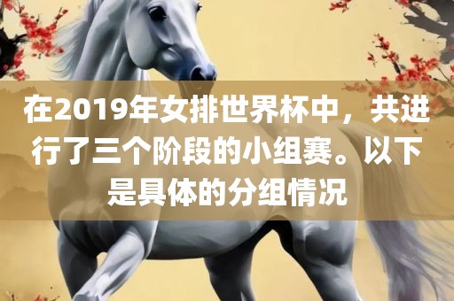 在2019年女排世界杯中，共进行了三个阶段的小组赛。以下是具体的分组情况眉山市正发家政服务有限公司
