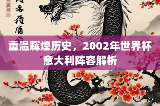 重温辉煌历史，2002年世界杯意大利阵容解析