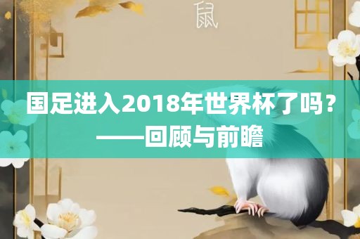 国足进入2018年世界杯了吗？——回顾与前瞻