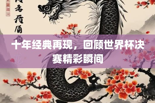 十年经典再现，回顾世界杯决赛精彩瞬间眉山市正发家政服务有限公司