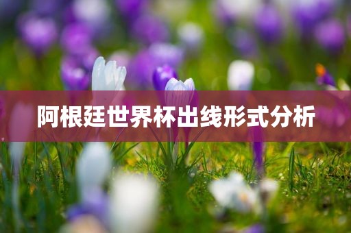 阿根廷世眉山市正发家政服务有限公司界杯出线形式分析