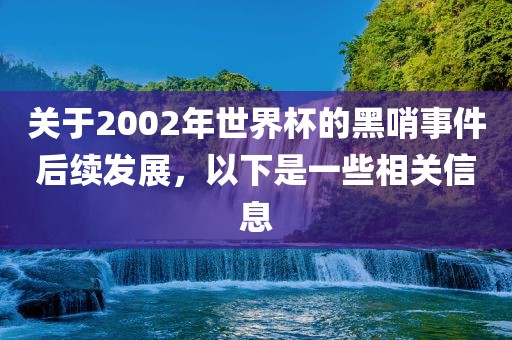 关于2002年世界杯的黑眉山市正发家政服务有限公司哨事件后续发展，以下是一些相关信息