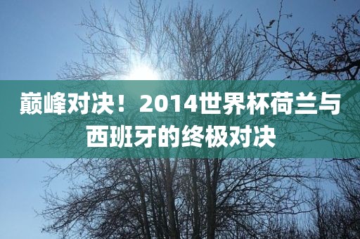 巅峰对决！2014世界杯荷兰与西班牙的终极对决