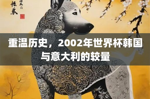 重温历史，2002年世界杯韩国与意大利的较量眉山市正发家政服务有限公司