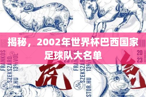 揭秘，2002年世界杯巴西国家足球队大名单眉山市正发家政服务有限公司