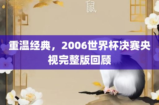 重温经典，2006世界杯决眉山市正发家政服务有限公司赛央视完整版回顾