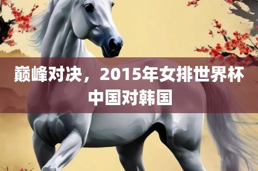 眉山市正发家政服务有限公司巅峰对决，2015年女排世界杯中国对韩国