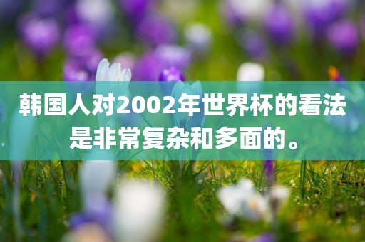 韩国人对2002年世界杯的看法是非常复杂和多面的。