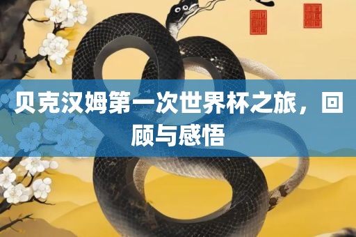贝克汉姆第一次世界杯之旅，回顾与感悟眉山市正发家政服务有限公司