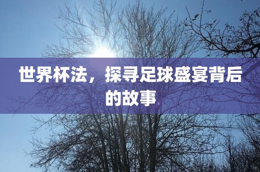 世界杯法，探寻足球盛宴背后的故事眉山市正发家政服务有限公司