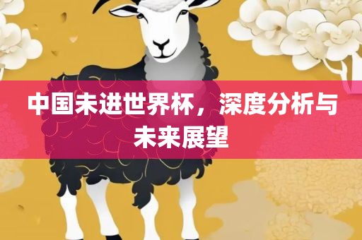 中国未进世界杯，深度分析与未来展望眉山市正发家政服务有限公司