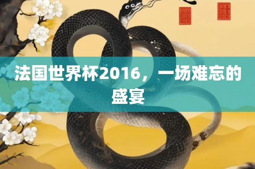 法国世界杯2016