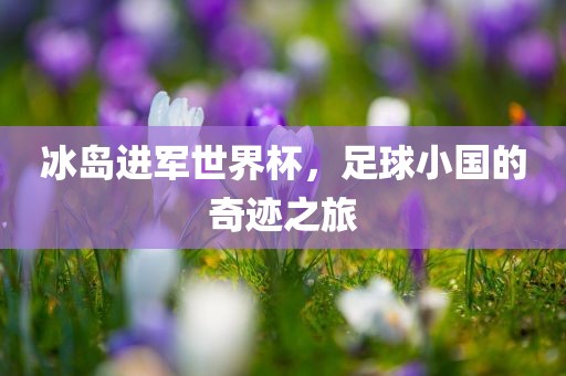 冰岛进军世界杯，足球小国的奇迹之旅