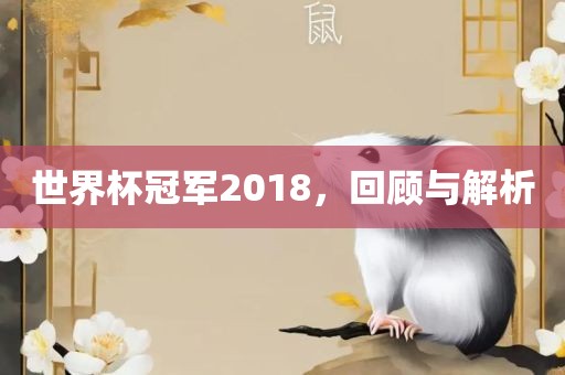 世界杯冠军2018，回顾与解析眉山市正发家政服务有限公司