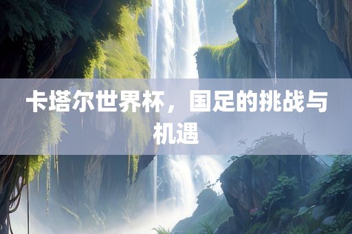 卡塔尔世界杯，国足的挑战与机遇眉山市正发家政服务有限公司