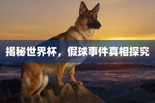 揭秘世界杯，假球事件真相探究