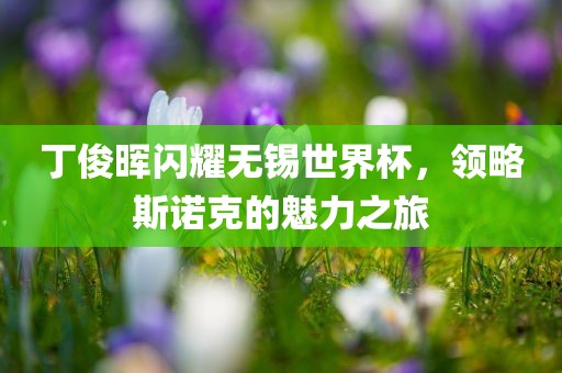 丁俊晖闪耀无锡世界杯，领略斯诺克的魅力之旅眉山市正发家政服务有限公司
