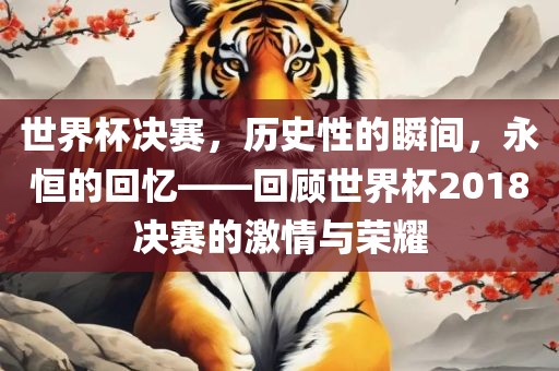 世界杯决赛，历史性的瞬间，永恒的回忆——回顾世界杯2018决赛的激情与荣耀眉山市正发家政服务有限公司
