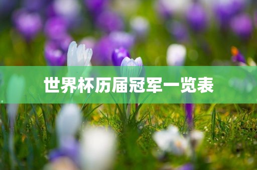 世界杯历届冠军一览表