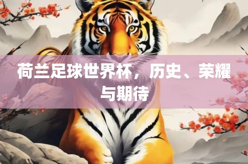 荷兰足球眉山市正发家政服务有限公司世界杯，历史、荣耀与期待