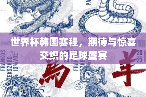 世界杯韩国眉山市正发家政服务有限公司赛程，期待与惊喜交织的足球盛宴