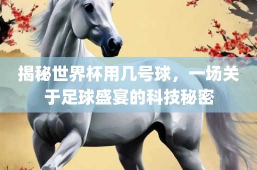揭秘世界杯用几号球，一场关于足球盛宴的科技秘密