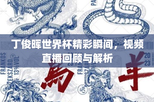 视频直播回顾与解析