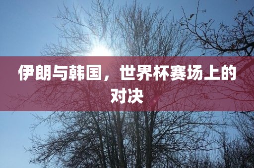 伊朗与韩国，世界杯赛场上的对决眉山市正发家政服务有限公司