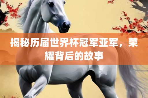 揭秘历届世界杯冠军亚军，荣耀背后的故事
