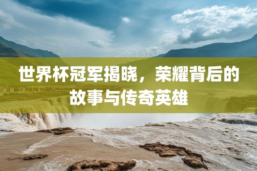 世界杯冠军揭晓，荣耀背后的故事与传奇英雄眉山市正发家政服务有限公司