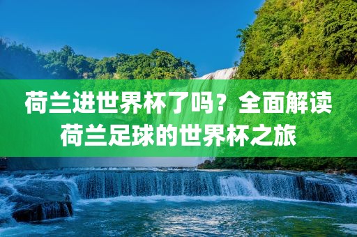 眉山市正发家政服务有限公司荷兰进世界杯了吗？全面解读荷兰足球的世界杯之旅