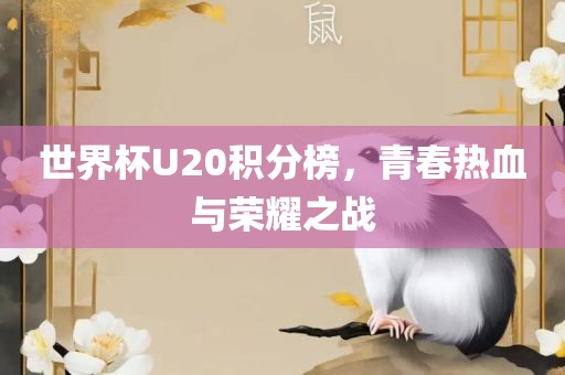 世界杯U20积分榜，青春热血与荣耀之战