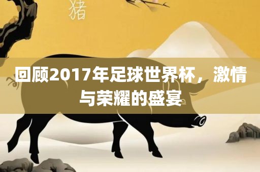回顾2017年足球世界杯，激情与荣耀的盛宴