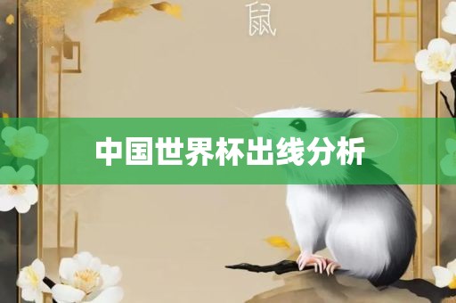 眉山市正发家政服务有限公司中国世界杯出线分析