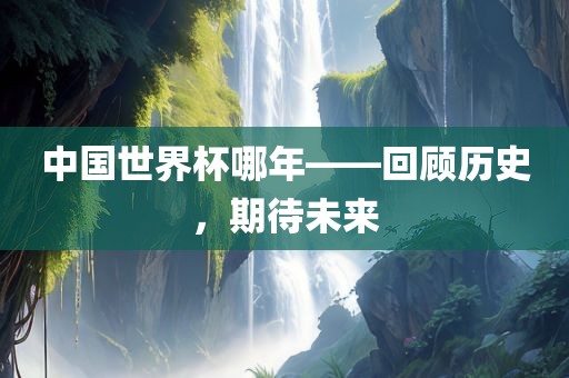 中国世界杯哪年——回顾历史，期待未来眉山市正发家政服务有限公司