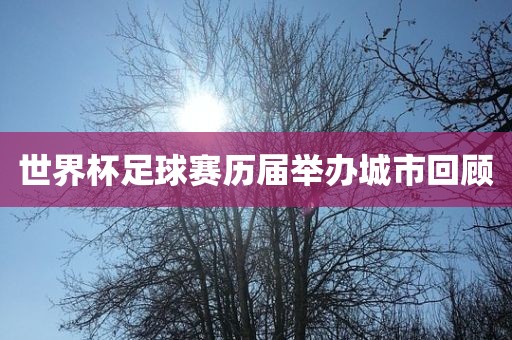 世界杯足球赛历届举办城市回顾眉山市正发家政服务有限公司