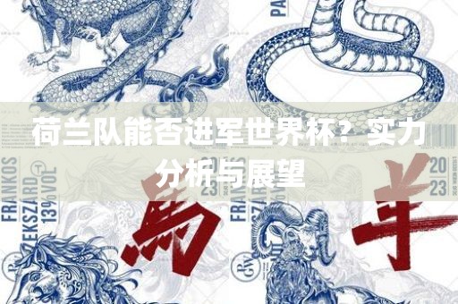 荷兰队能否进军世界杯？实力分析与展望