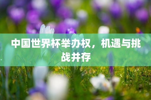 中国世界杯举办权，机遇与挑战并存