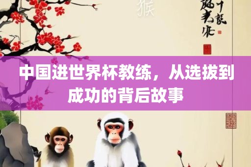 成功背后故事
