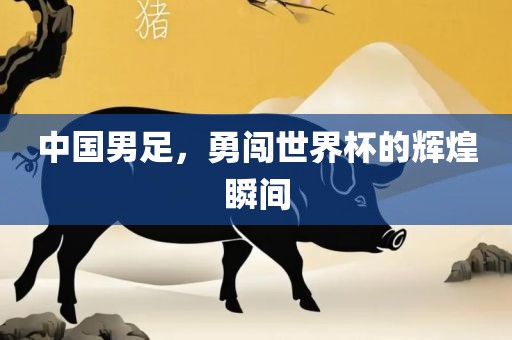 中国男足，勇闯世界杯的辉煌瞬间
