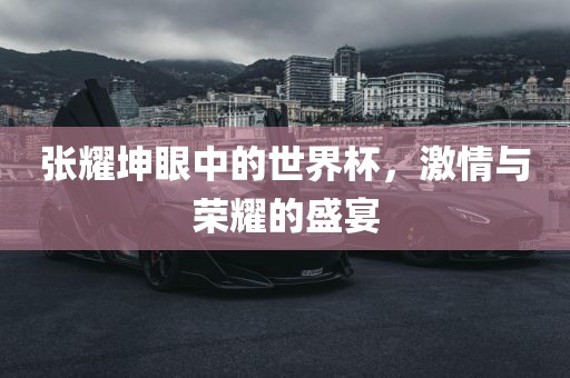 张耀坤眼中的世界杯，激情与荣耀的盛宴