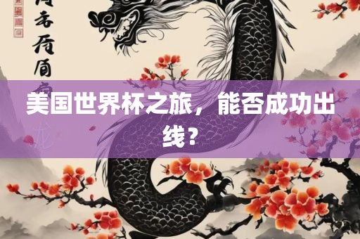 美国世界杯之旅，能否成功出线？眉山市正发家政服务有限公司