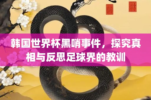 韩国世界杯黑哨事件，探究真相与反思足球界的教训眉山市正发家政服务有限公司