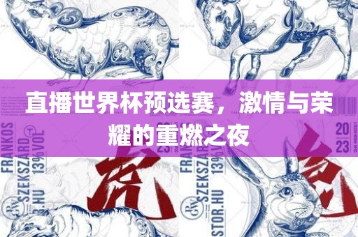 直播世界杯预选赛，激情与荣耀的重燃之夜