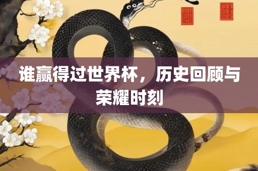 谁赢得过世界杯，历史回顾与荣耀时刻眉山市正发家政服务有限公司