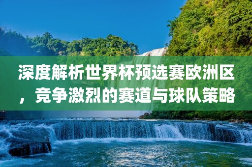 深度解析世界杯预选赛欧洲区，竞争激烈的赛道与球队策略眉山市正发家政服务有限公司