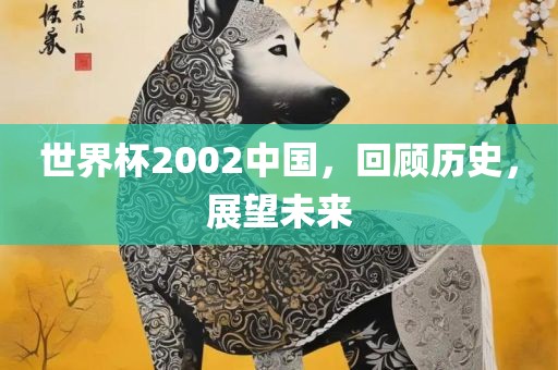 世界杯2002中国，回顾历史，展望未来眉山市正发家政服务有限公司