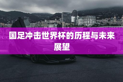 国足冲击世界杯的历程与未来展望